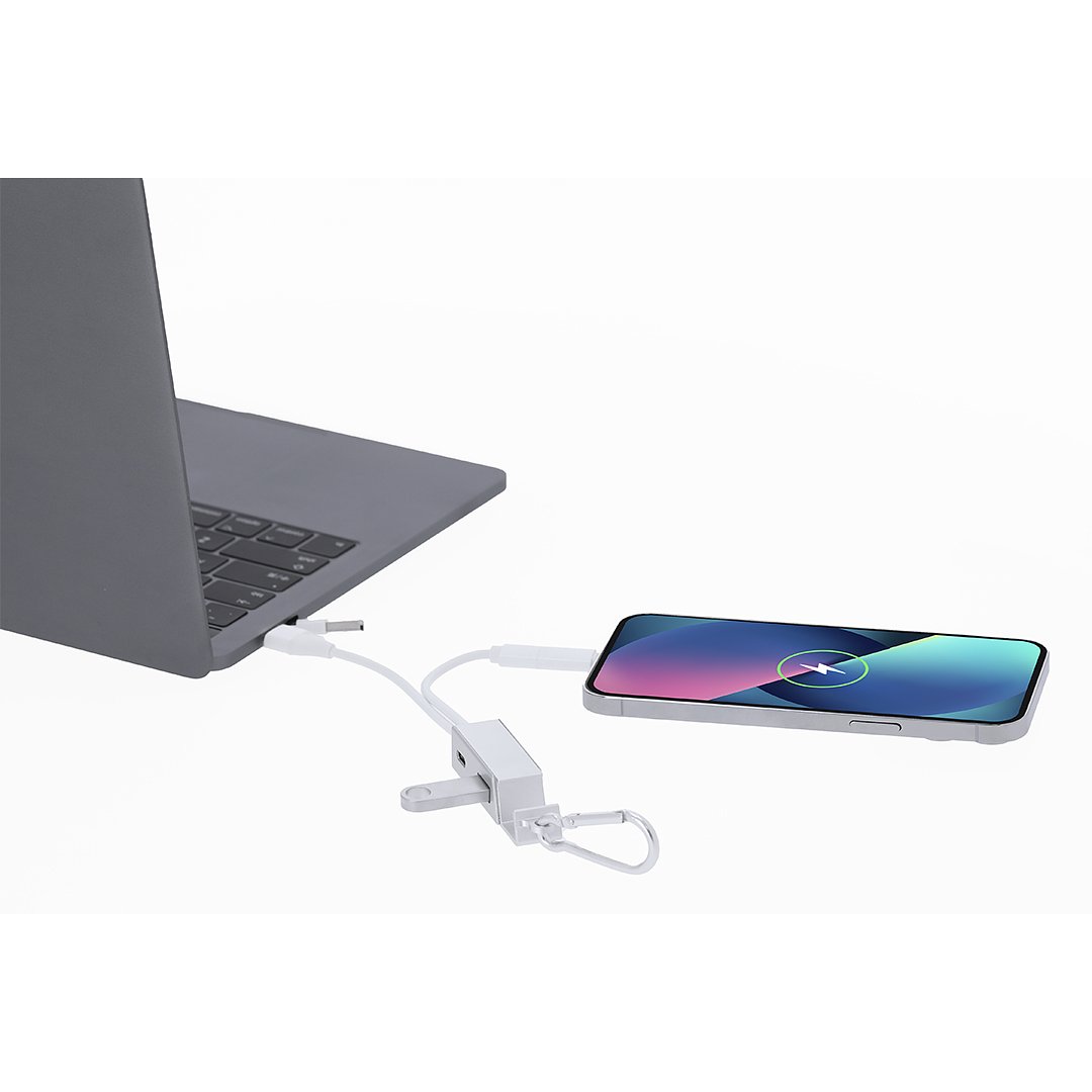 Ladegerät USB Hub Idony