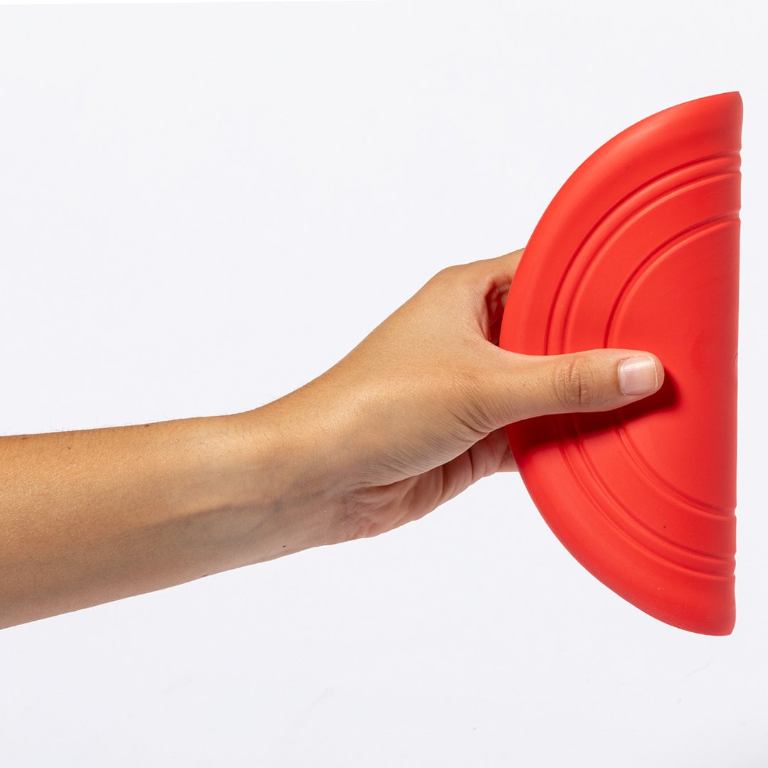 Frisbie Idrud
