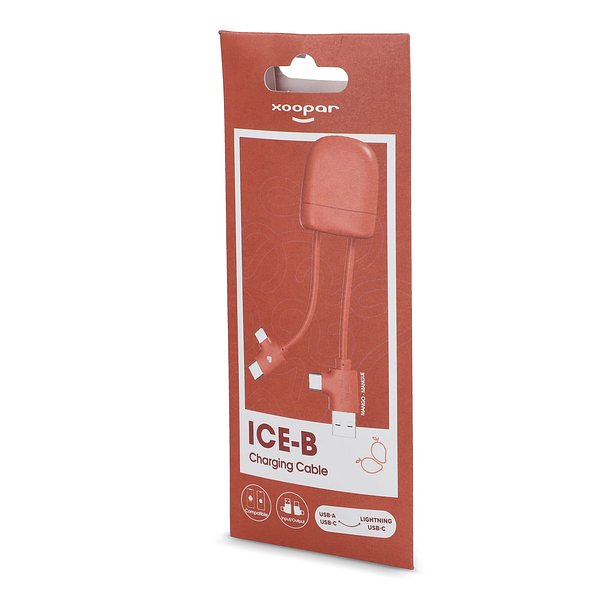 ICE-B Multi-Ladekabel Stgaulf