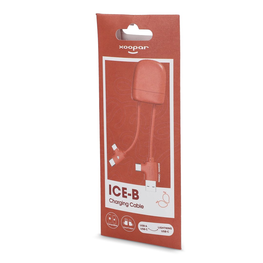 ICE-B Multi-Ladekabel Stgaulf