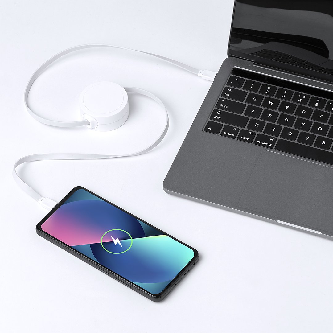 Ladegerätkabel IdRCS