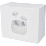 True Wireless Auto-Pair-Ohrhörer mit Etui - Paunst