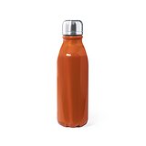 Trinkflasche Idcan