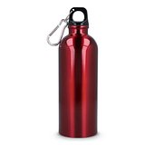 R-Edelstahl einwandige Flasche mit Karabiner 500 ml Nolfrina