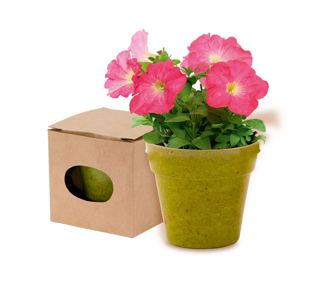 Blumentopf Idert