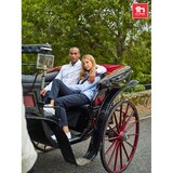 Herren Oxford Hemd Vregula