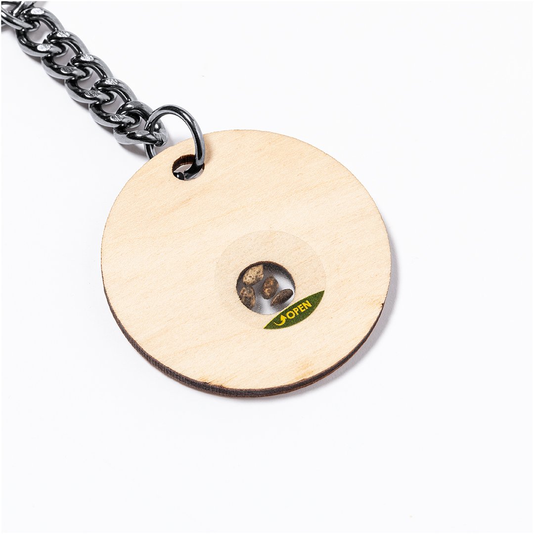 Samen Schlüsselanhänger Idsty