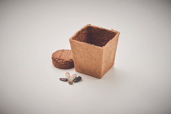 Pflanz-Set Sonnenblume Benglia