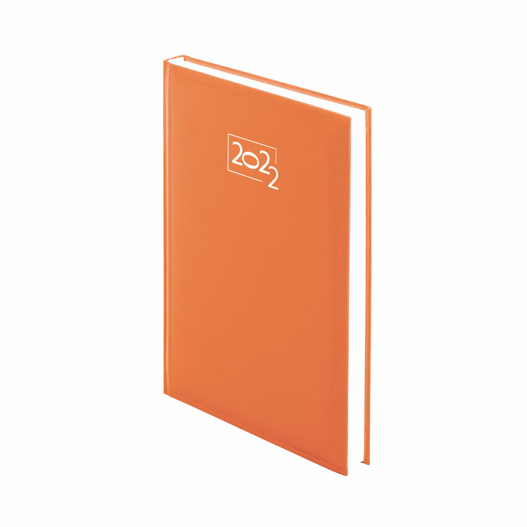 Tagebuch Idnes