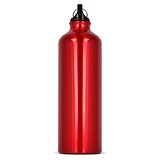 Aluminium Wasserflasche mit Karabiner 750ml Stgaunela