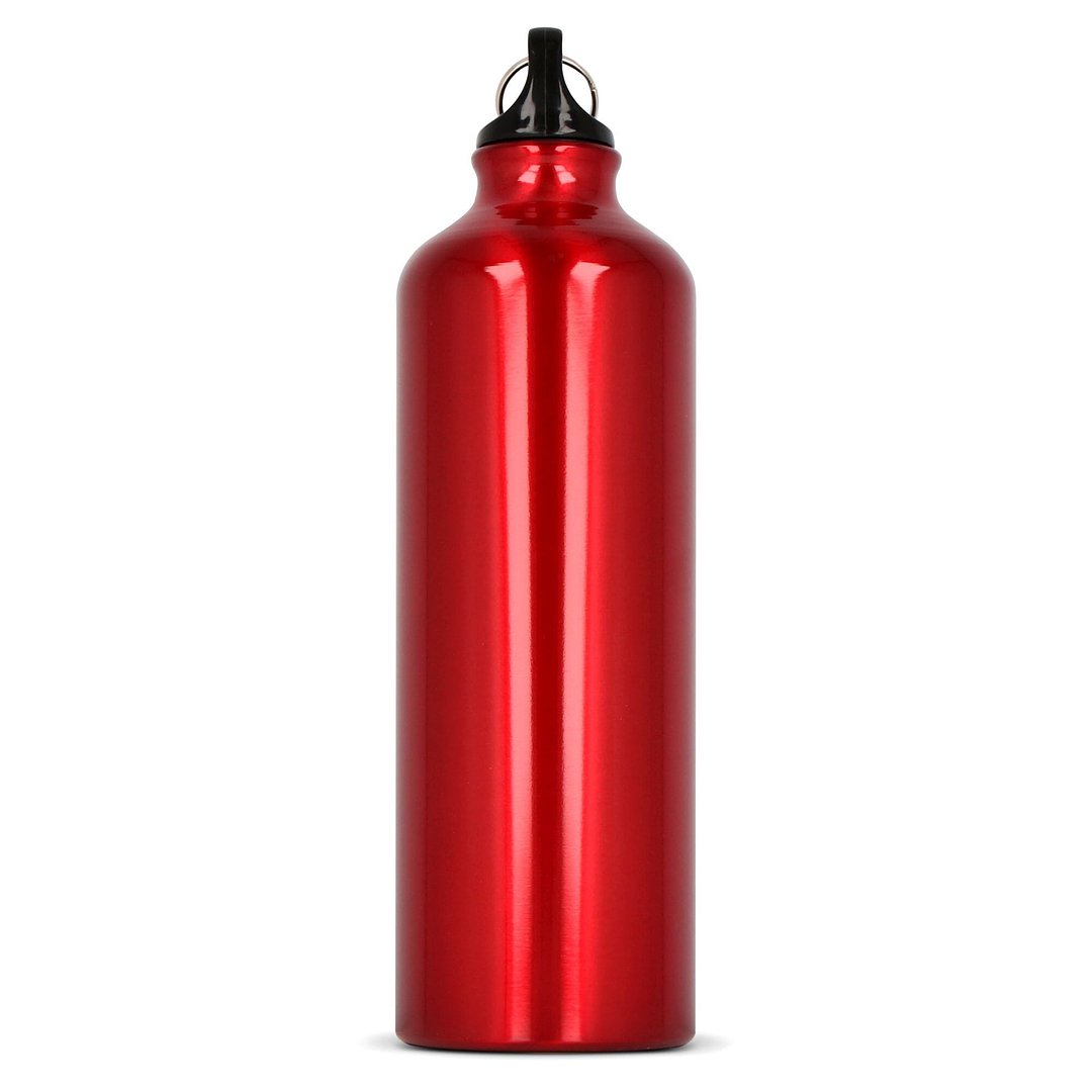 Aluminium Wasserflasche mit Karabiner 750ml Stgaunela