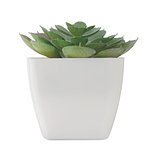 Mini-Kunstpflanze Bistinat