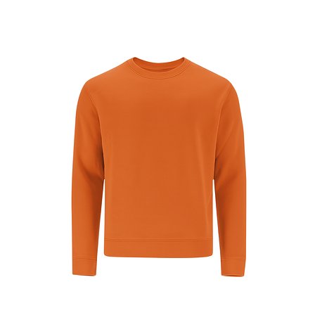 Kinder Sweatshirt Idmos