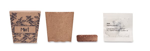 Pflanz-Set Minze Itarja