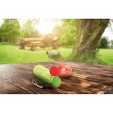 Trinkflasche 510 ml Vignas