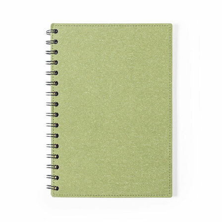 Notizbuch Idina