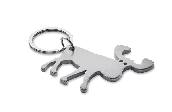 Schlüsselring Kapselheber Emeregn