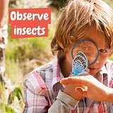 Lernspiel für Kinder Vinelli