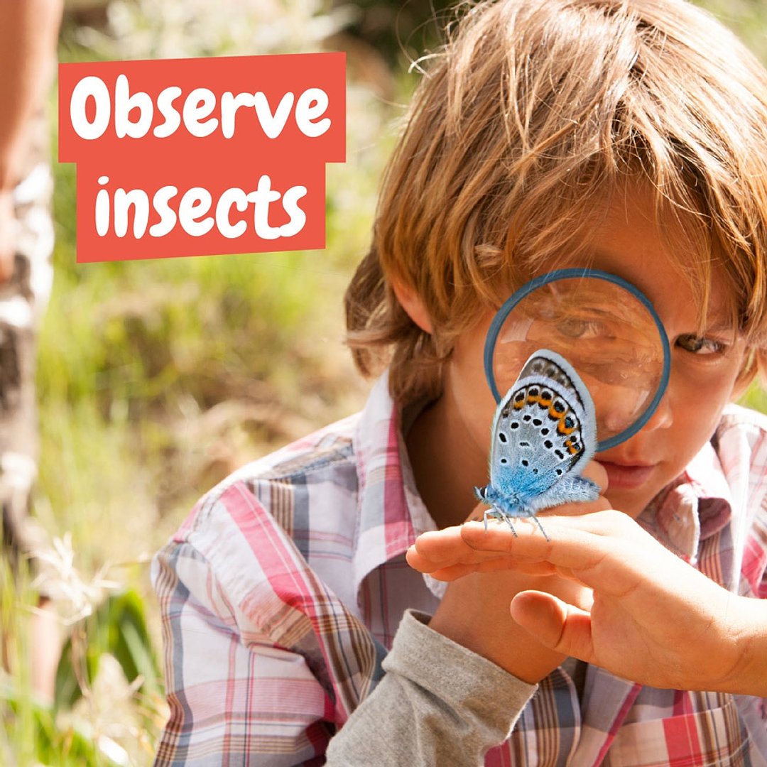 Lernspiel für Kinder Vinelli