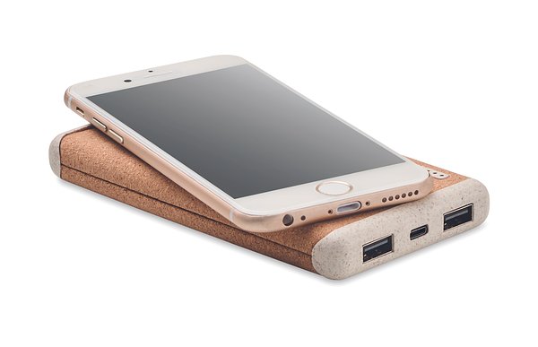 Powerbank mit Ladestation Rethliuna