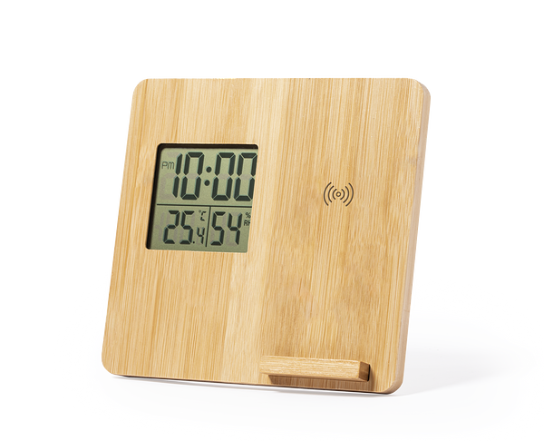 Ladegerät Wetterstation Idory