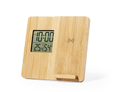 Ladegerät Wetterstation Idory