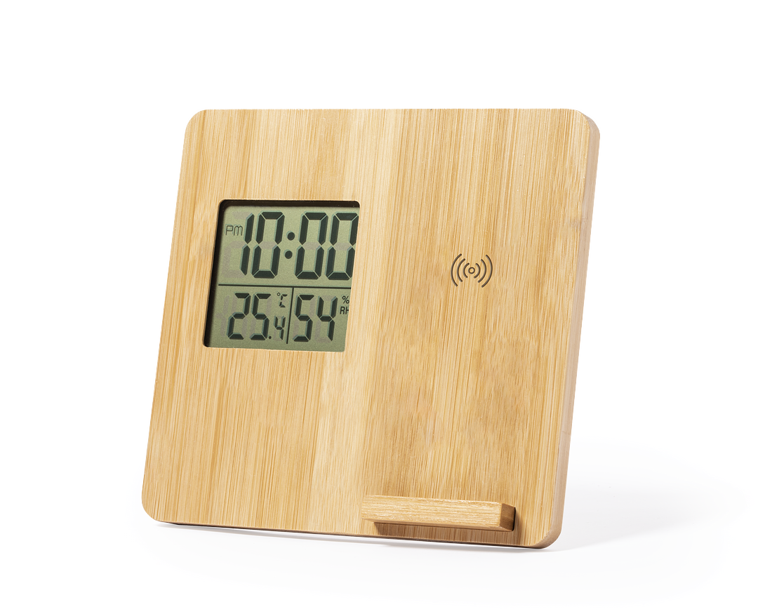 Ladegerät Wetterstation Idory