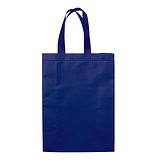 Laminierte Non Woven Tasche 105g/m² Betiannas