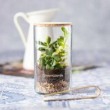 Terrarium Idmak