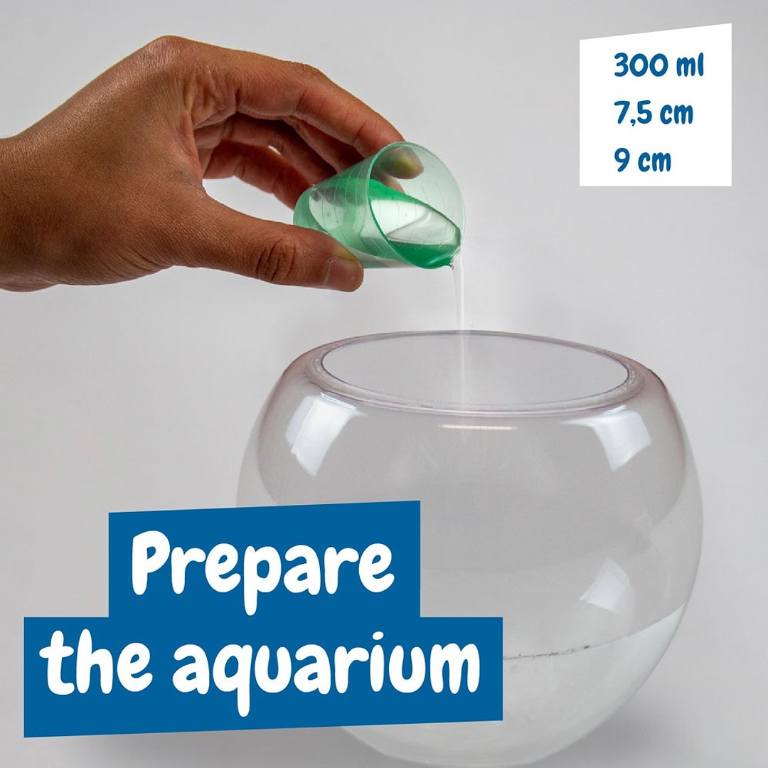 Lernspiel lieferung inklusive einer kraftpapiertasche (90 g/m²) Oleen