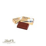 Adventskalender Weihnachtsbuch mit Lindt Schokolade