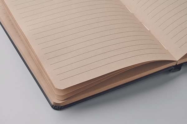 DINA5 Notizbuch Zuckerrohr PLA Fenetorie