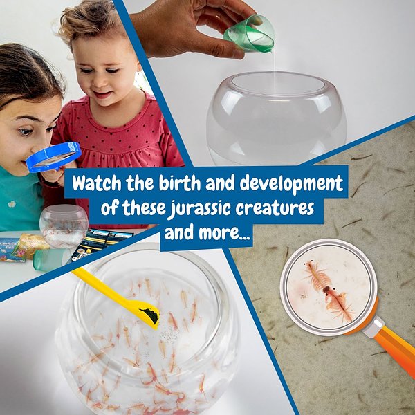 Lernspiel für Kinder Giamunana