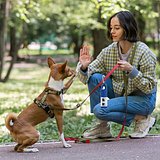 Müllbeutelspender Idler