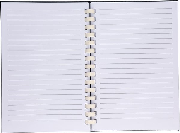 Notizbuch Stgaunrg | Recyceltes PET | A5 | Liniert