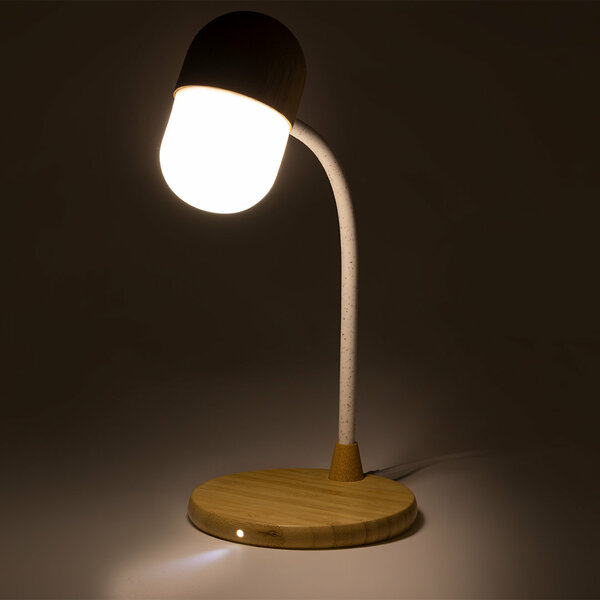 Multifunktion Lampe Idars