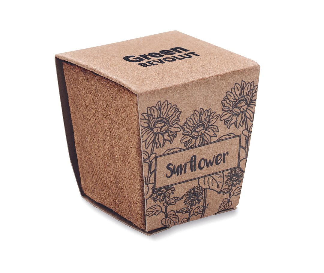 Pflanz-Set Sonnenblume Benglia