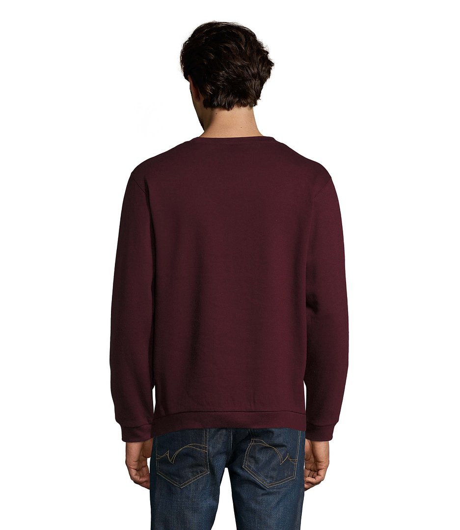 Herren Sweater 260g Bendinati