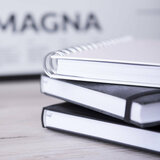 Tagebuch Idnes