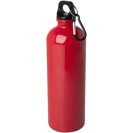 750 ml RCS-zertifizierte, einwandige Trinkflasche aus Edelstahl mit Karabinerhaken - Lüth