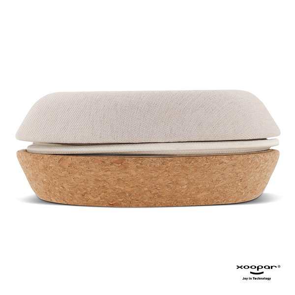 Meetair Conference Speaker Anricch