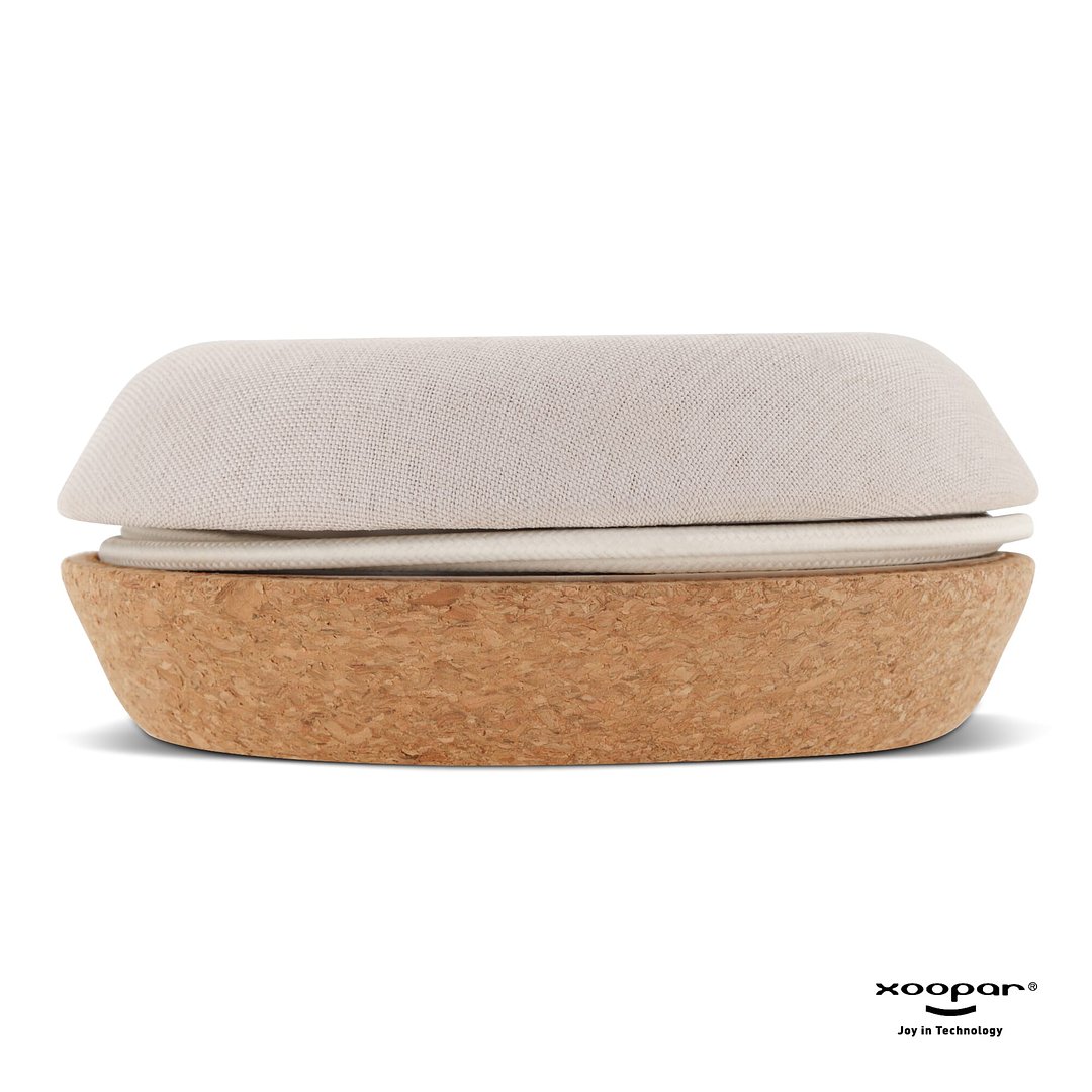 Meetair Conference Speaker Anricch