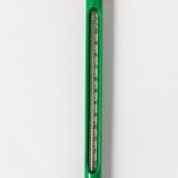 Bodenthermometer Idnex