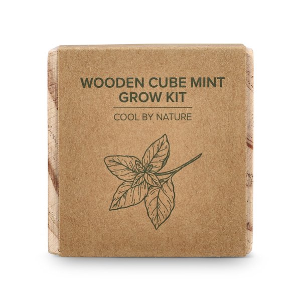 Holzpflanzgefäß-Set – Mint Giuandi