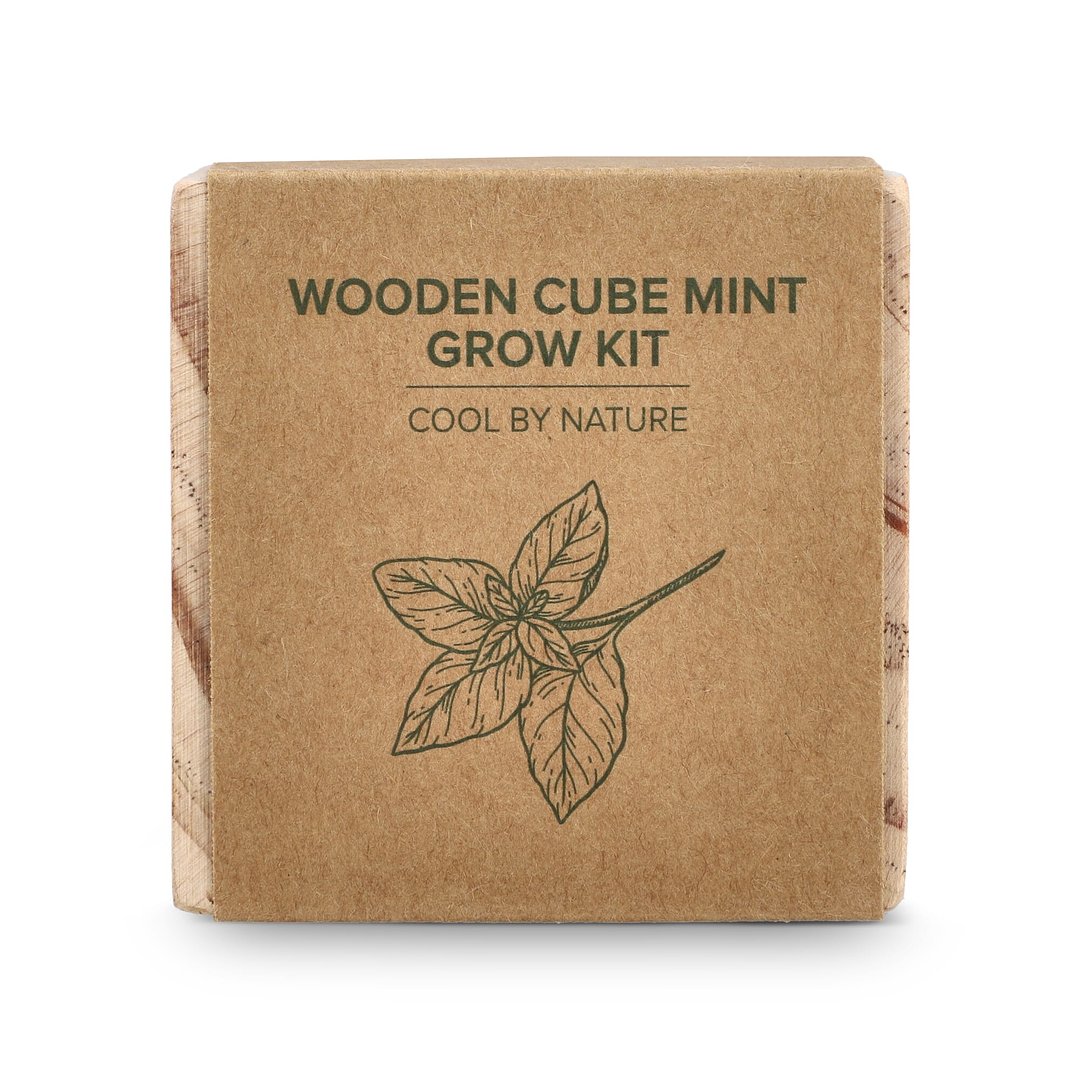 Holzpflanzgefäß-Set – Mint Giuandi