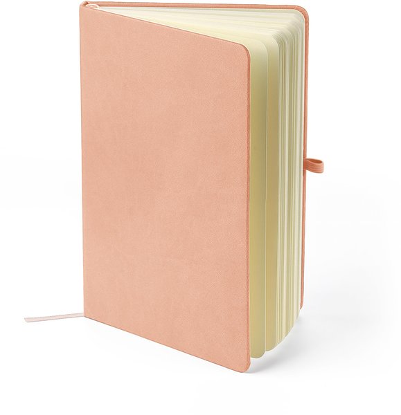 Recyceltes Notizbuch A5 Steilga