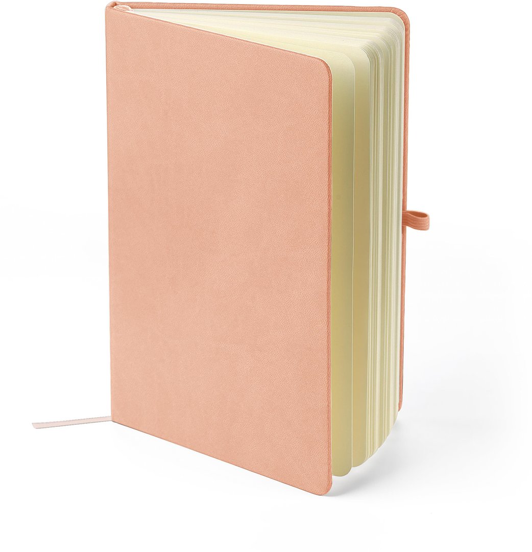 Recyceltes Notizbuch A5 Steilga