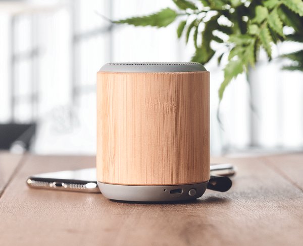 5.3 Wireless Lautsprecher Bistio