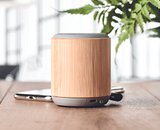 5.3 Wireless Lautsprecher Bistio