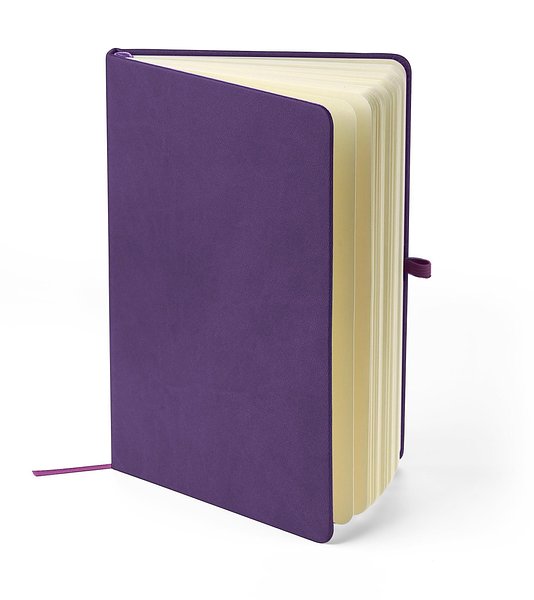 Recyceltes Notizbuch A5 Steilga